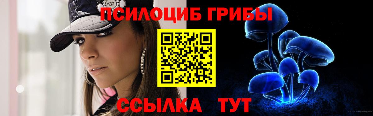 Ликино-Дулёво  Галлюциногенные грибы прущие грибы  Галлюциногенные грибы Psilocybe  Вход с VPN 